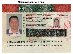 MEXICO VISA SAMPLE